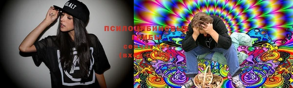 дурь Белоозёрский